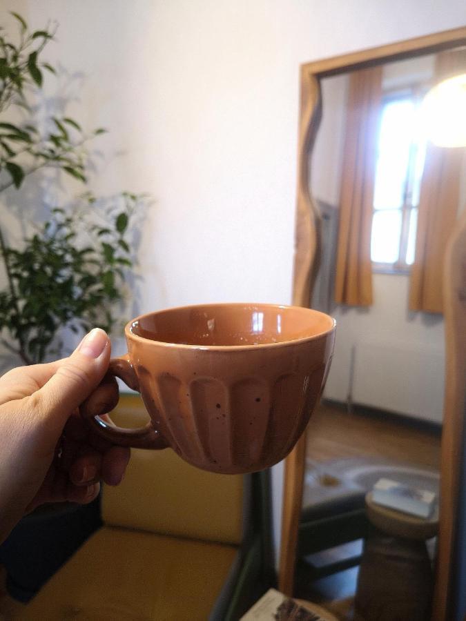 Codicei Studio Brasov Ngoại thất bức ảnh