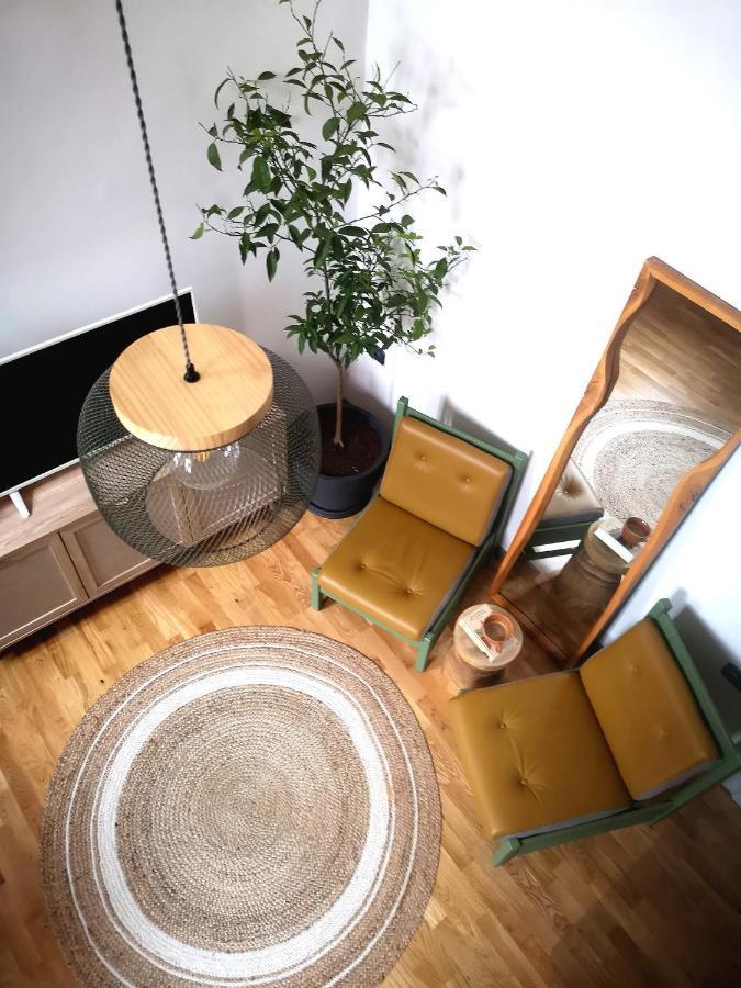 Codicei Studio Brasov Ngoại thất bức ảnh