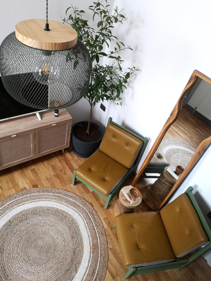 Codicei Studio Brasov Ngoại thất bức ảnh