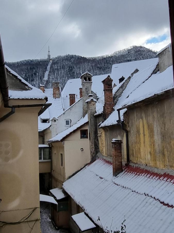 Codicei Studio Brasov Ngoại thất bức ảnh